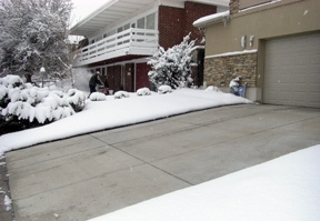 PSwarm-zone2.JPG