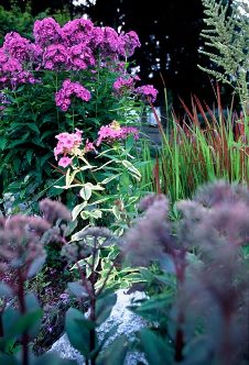 landscape-construction