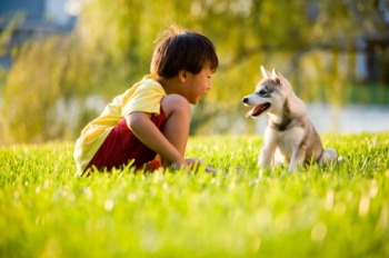 Organic Lawn Care Services