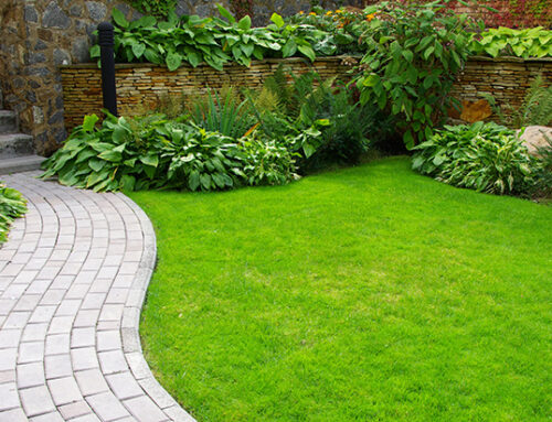 Top 4 Mulch Mistakes Homeowners Make