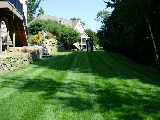 lawn fertilizer service, Organic lawn care, Affordable lawn care near me, Organic lawn fertilizer service, Natural lawn care