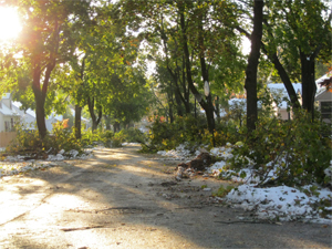 road_after_storm
