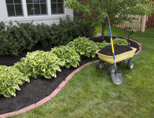 The Benefits of Mulching