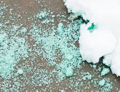 Salt vs. Snow