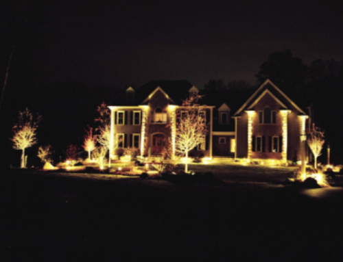 Outdoor Landscape Lighting