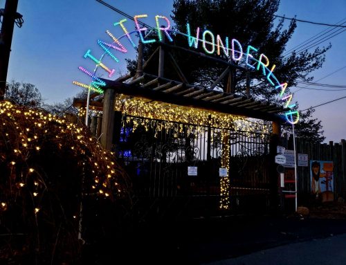 Commercial Holiday Lighting Is Beneficial For Business