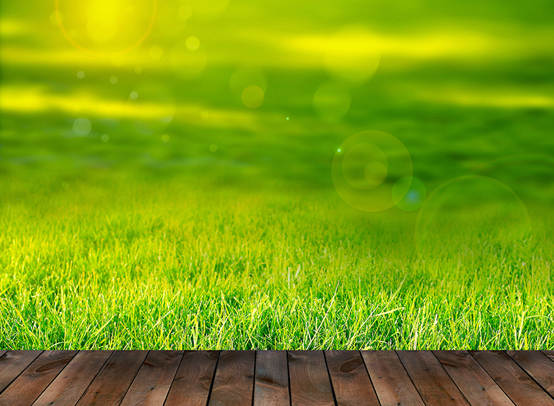 A Few Tips For Mowing Your Lawn During The Hot Summer