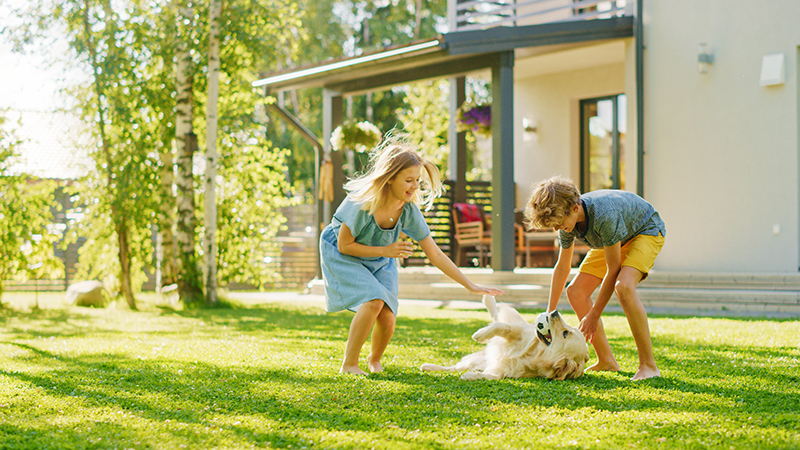 Is Your Landscaping Suffering From Summer Lawn Stress?