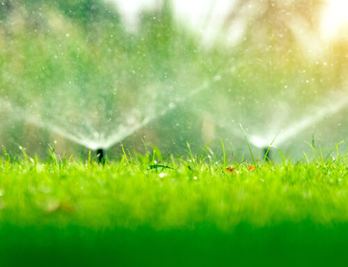 Schedule Your Irrigation System Blowout Today
