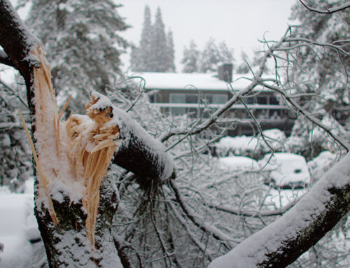 Emergency Winter Storm Services