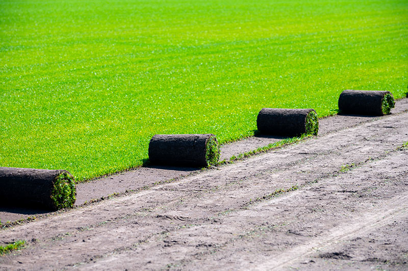 Sod Installation Company in MA