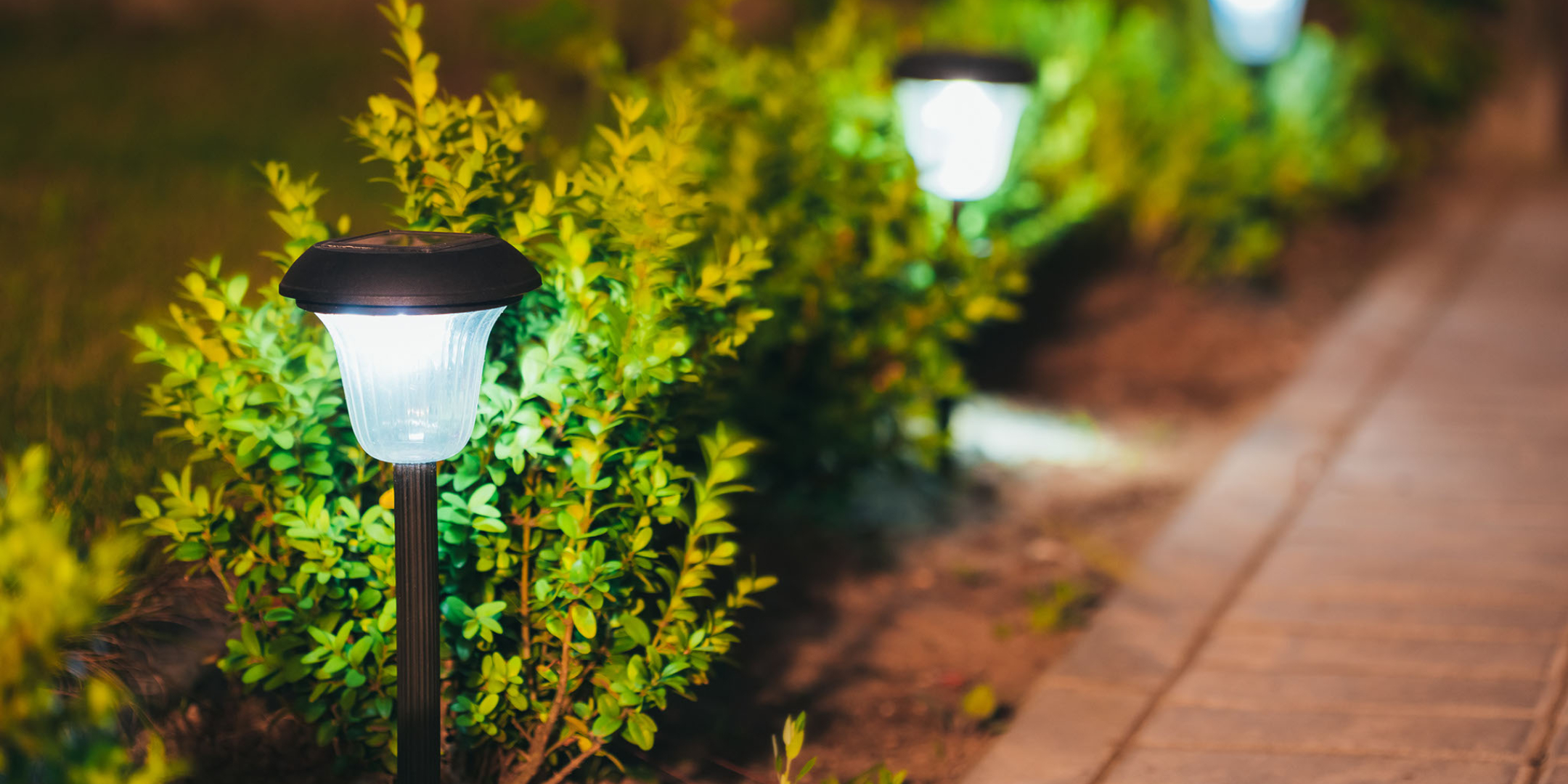 Outdoor Landscaping Lighting
