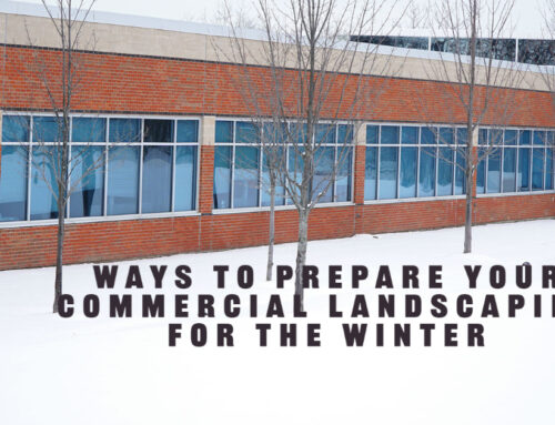 Ways to Prepare Your Commercial Landscaping for the Winter