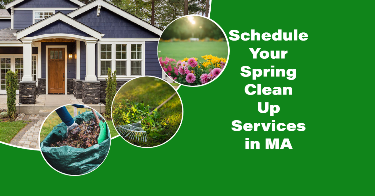 Schedule Your Spring Clean Up Services in MA