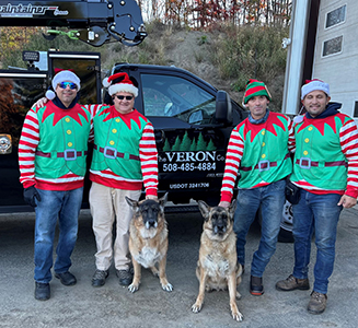 Holiday Elves
