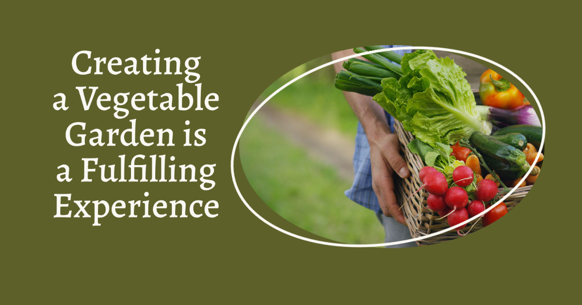 Creating a Vegetable Garden is a Fulfilling Experience