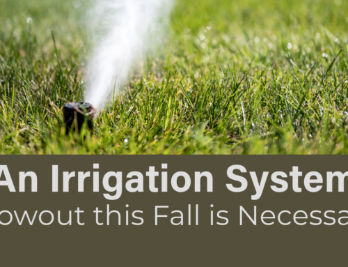 An Irrigation System Blowout this Fall is Necessary