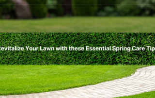 Revitalize Your Lawn with these Essential Spring Care Tips