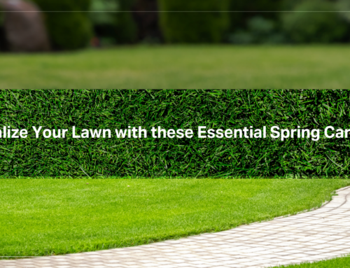 Revitalize Your Lawn with these Essential Spring Care Tips