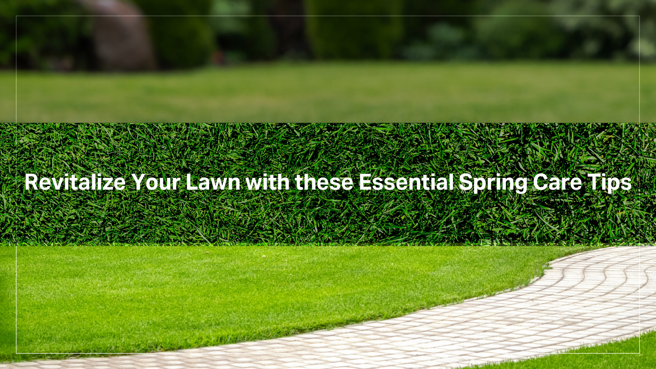 Revitalize Your Lawn with these Essential Spring Care Tips
