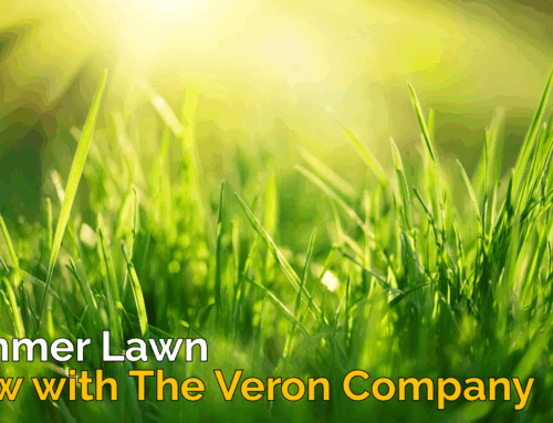 Summer Lawn Glow with The Veron Company