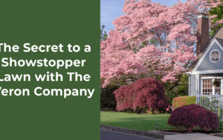 The Secret to a Showstopper Lawn with The Veron Company