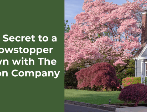 The Secret to a Showstopper Lawn with The Veron Company