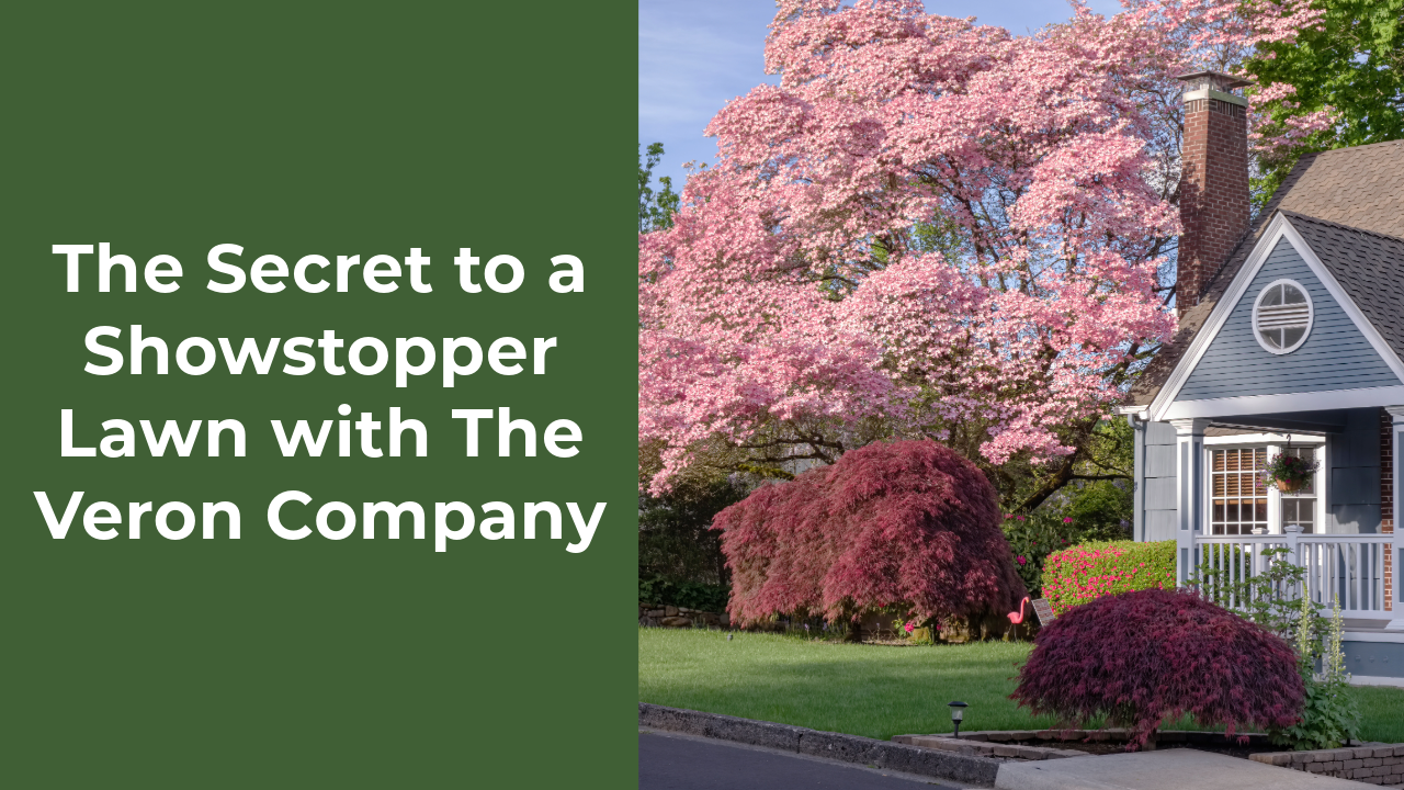 The Secret to a Showstopper Lawn with The Veron Company