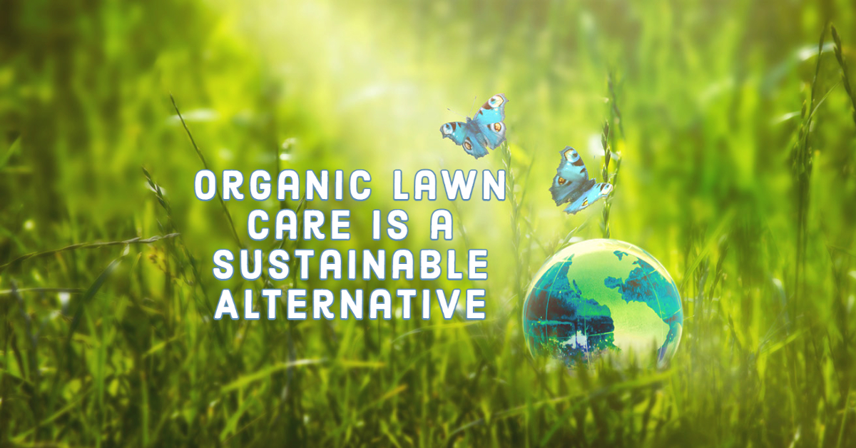 Organic Lawn Care Is a Sustainable Alternative