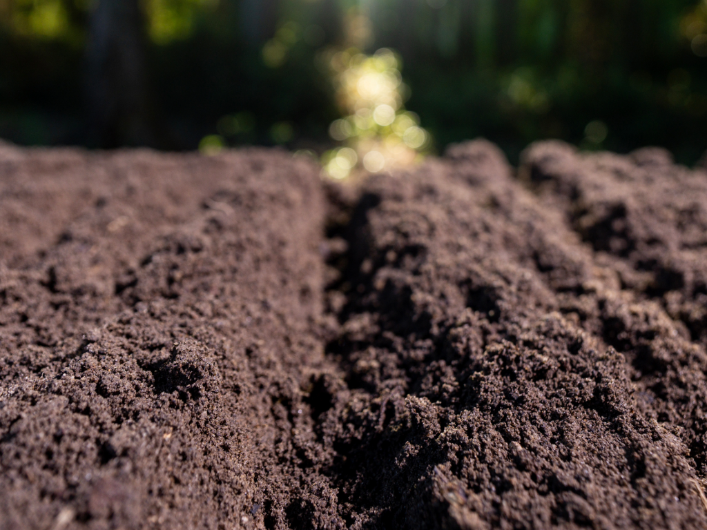 loam compost and soil